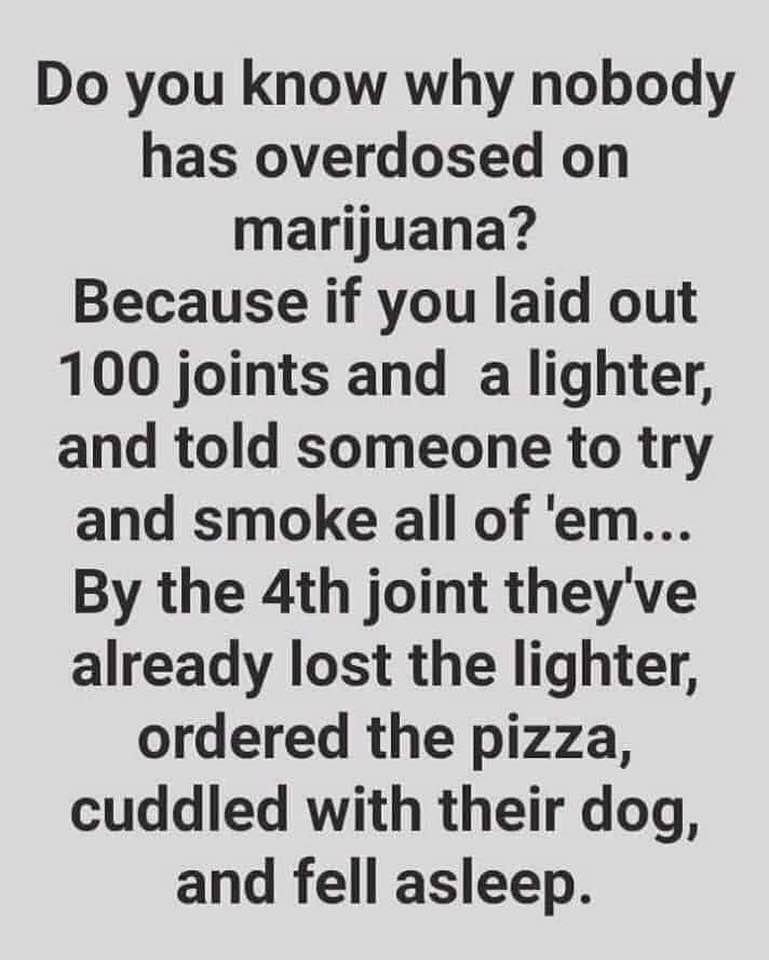 stonerjesus420's tweet image. 