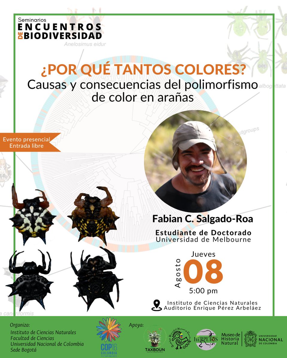 dimitriforero's tweet photo. No se pierdan este jueves 8 en nuestros #EncuentrosdeBiodiversidad del @ICNUNAL, a nuestro invitado, Fabian Salgado @facasaro, quien nos contara sobre el policromatismo en arañas 🕷
📍Auditorio ICN (Ed 425)
🕐 5:00 pm
🗓 8 de agosto 2024 https://t.co/LtO4rDSu09