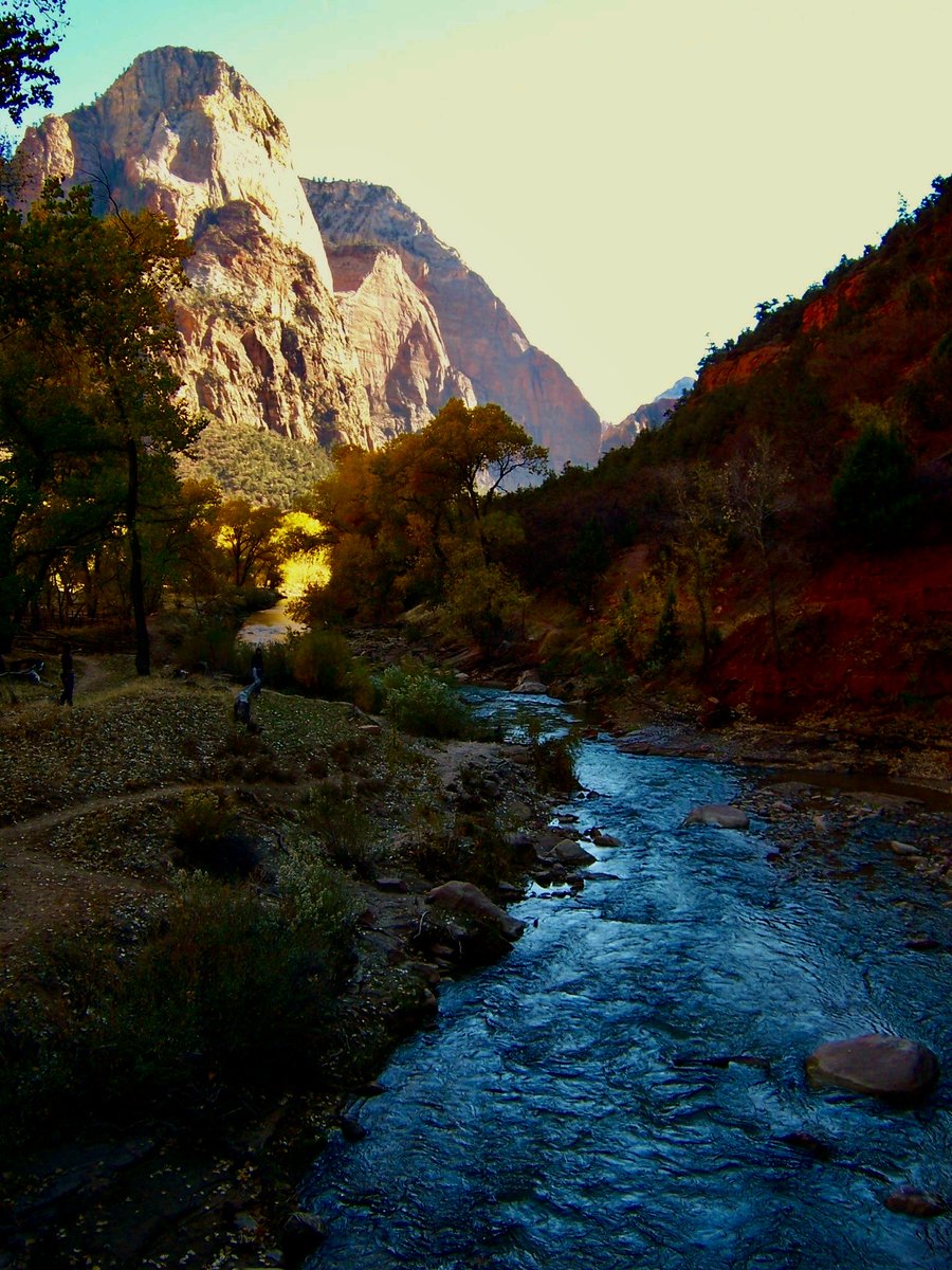 CanyonCoyote1's tweet photo. Virgin River, Zion National Park - 1983

#NationalPark #wildearth #TravelAdventures #Utah #NaturePhotography #landscapephotography https://t.co/rdr1DTwVe1