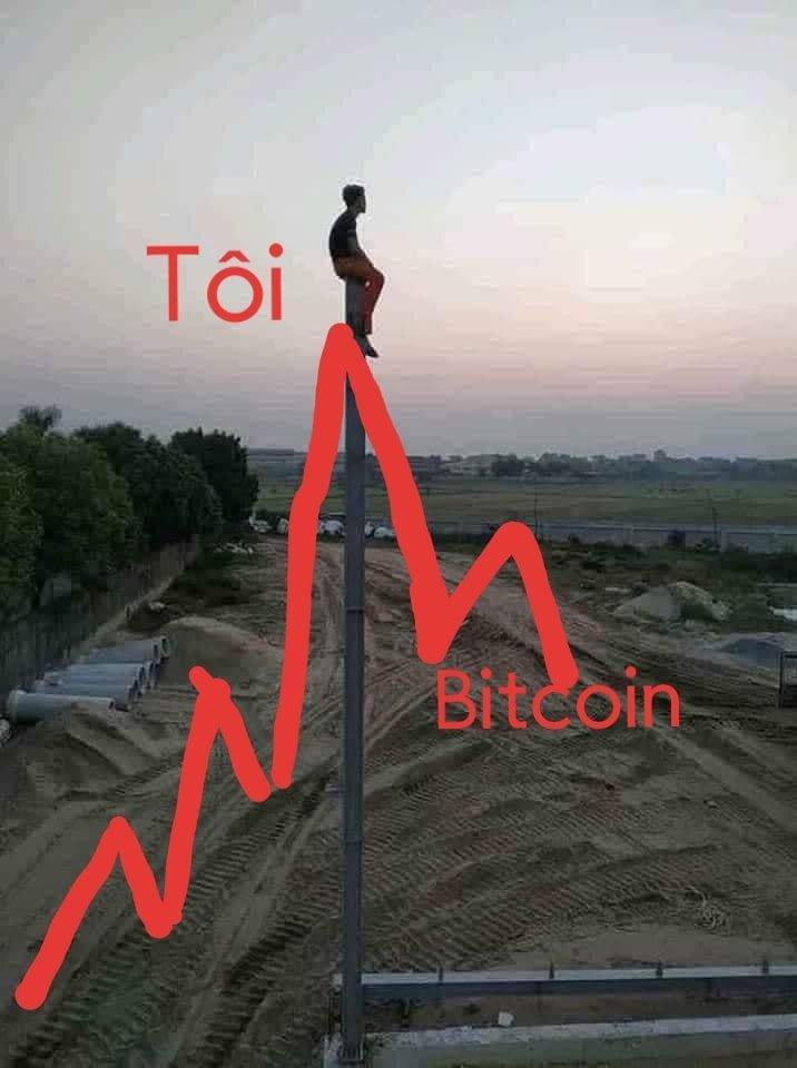 Còn thở không anh em 😵‍💫
Tài sản tự dưng nhìn như đống rác hết 🫠🐤