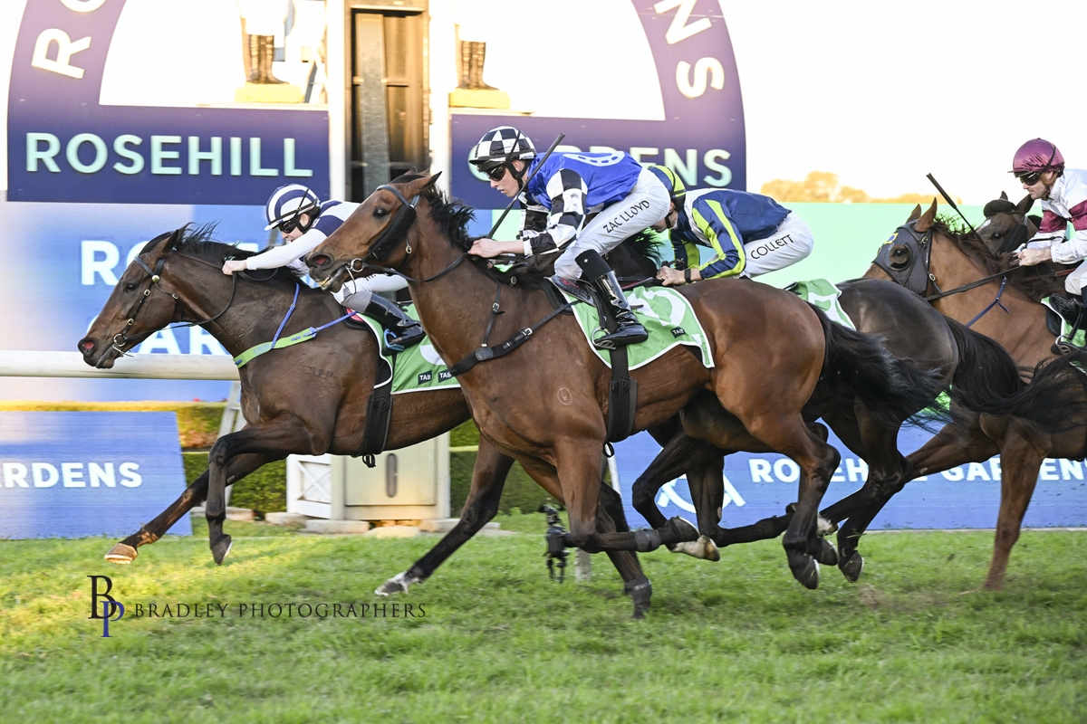 littracing's tweet photo. We are loving these images from Bradley Photos of Secret Plan's win at Rosehill Gardens on Saturday. Happy people and happy stable - this is what we live for! https://t.co/UrGJHAs0kX