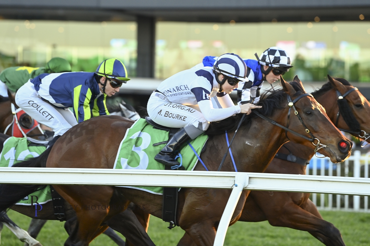 littracing's tweet photo. We are loving these images from Bradley Photos of Secret Plan's win at Rosehill Gardens on Saturday. Happy people and happy stable - this is what we live for! https://t.co/UrGJHAs0kX