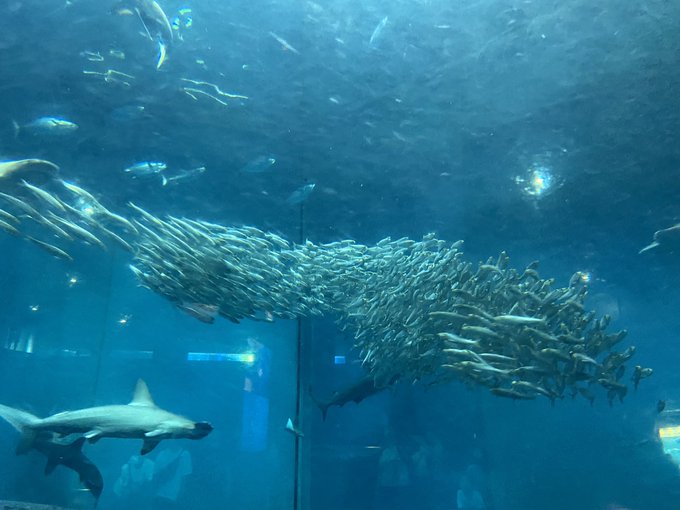 Twitterのコスプレ画像2