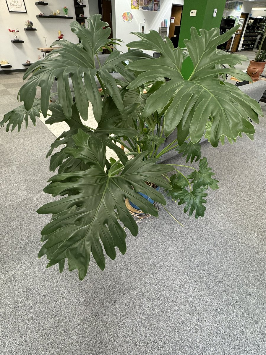 Eric Kessler 🦬 tweet media