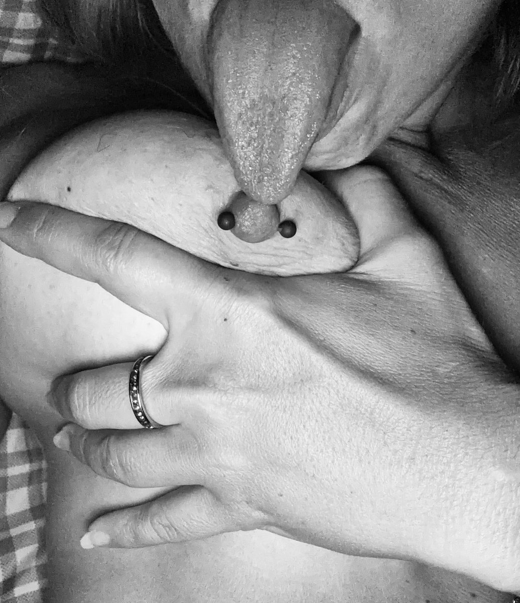 HwVixen's tweet photo. So much fun when you can lick your own nipples… 😈😈

#sinfulsunday #hotwife #vixen #milf 💋 https://t.co/bWKAdMZYsl