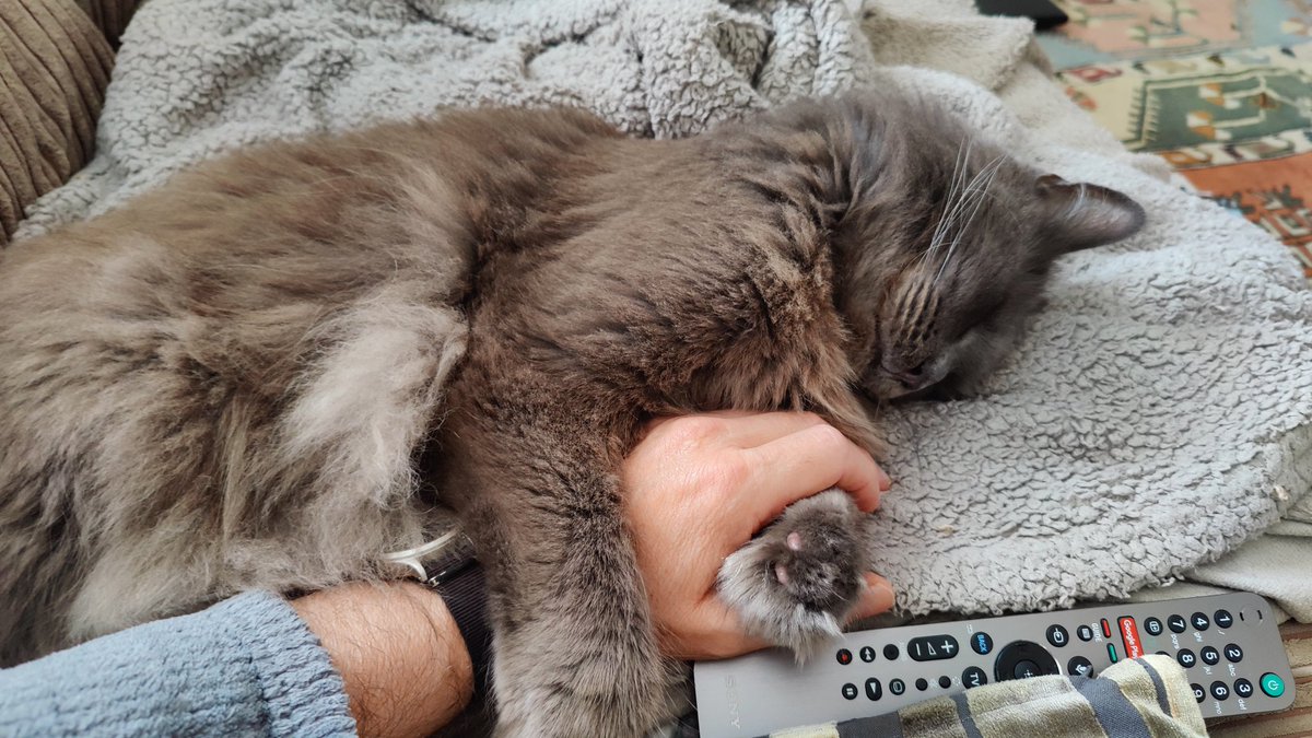 JJ distinctly underwhelmed with the Tri relay #Paris2024