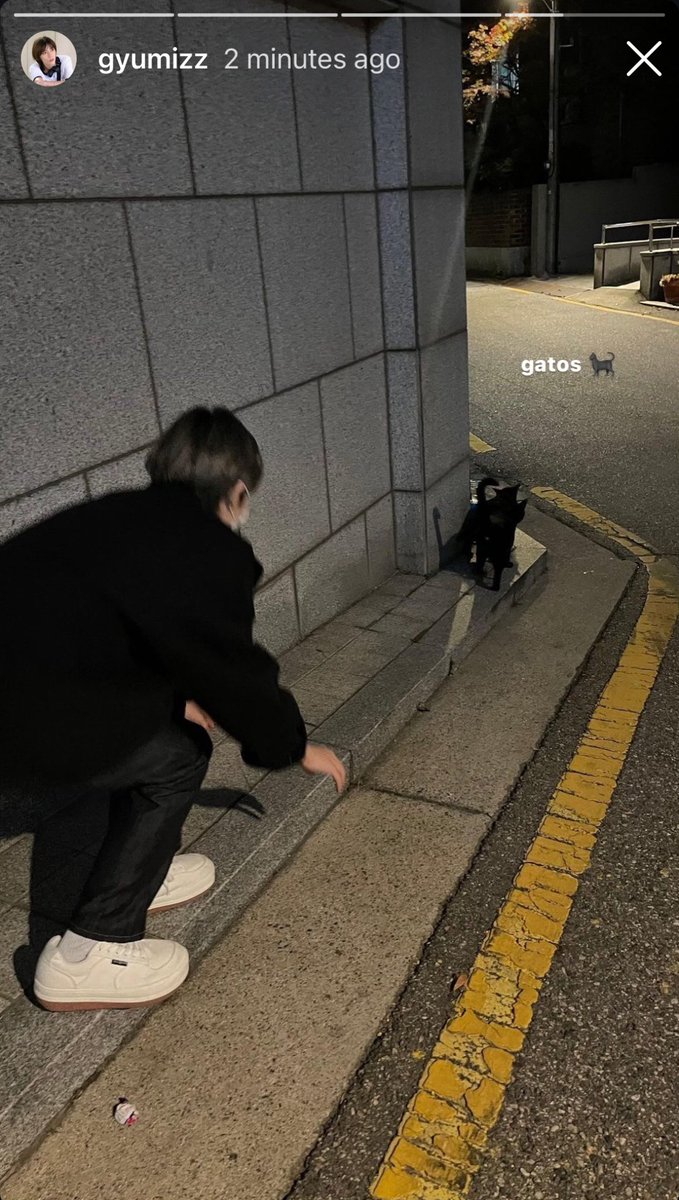 🐻‍❄️ tweet media