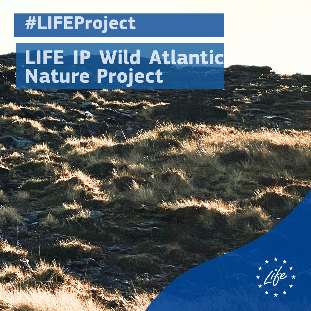 LIFE Programme (@lifeprogramme) on Twitter photo Protecting Ireland’s bogs 🇮🇪
#LIFEProject <a href="/WAN_LIFEIP/">LIFE IP Wild Atlantic Nature</a> is working to protect #bogs in Donegal, Leitrim, Sligo, Mayo, and Galway🚜 Farmers receive payments for taking care of bogs & schools earn rewards for their conservation projects🏫
👉🏻europa.eu/!WDTTyF
#LIFEProgramme Protecting Ireland’s bogs 🇮🇪
#LIFEProject <a href="/WAN_LIFEIP/">LIFE IP Wild Atlantic Nature</a> is working to protect #bogs in Donegal, Leitrim, Sligo, Mayo, and Galway🚜 Farmers receive payments for taking care of bogs & schools earn rewards for their conservation projects🏫
👉🏻europa.eu/!WDTTyF
#LIFEProgramme