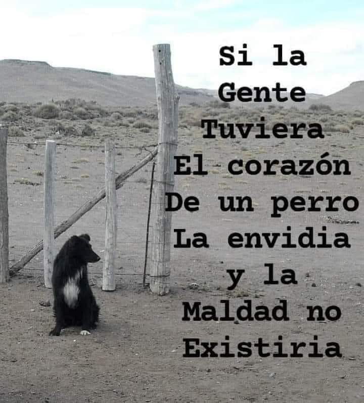 Uriel (@uriel66689314) on Twitter photo Feliz lunes! <a href="/nydiacervera/">Nydia Cervera</a> <a href="/Marilu86053/">Marilú 💕🐘🐘🐘💕 🇲🇽</a> <a href="/addy_pink/">Pinky</a> <a href="/Becky_P7/">Becky</a> <a href="/antymob/">Miss Anty Mobarak</a> <a href="/mtz_tt/">B€TT¥ ツ</a> <a href="/DaliaMRocha/">Yaya Rocha</a> <a href="/EYACAR65/">EYA</a> <a href="/EsEstra/">A L I 🐾</a> <a href="/lasaguis/">lasg</a> <a href="/LETICIA777/">LETICIA TORRES</a> <a href="/Negra_start/">Ⓝⓔⓖⓡⓐ</a> @JohannaLizalde <a href="/rumabo1/">Pata perruna 🐾🐾</a> <a href="/MARLENE_STAHL/">MARLENE 🦋</a> <a href="/Hera_Sea/">★ FRECDA, CAPÍTULO SAN LUIS POTOSÍ</a> <a href="/Vivalyk/">♓⭐🍒 Bárbariux 🍒⭐❤&💫</a> <a href="/akyoshi09/">Fabiola</a> <a href="/hidra881/">Teresa Velazquez Rodriguez</a> <a href="/duky1107/">Claudia</a> @PipianM <a href="/CasLaaU/">Soy Lau. 💜🍉</a> <a href="/MxActivista/">🐾ActivistaMX🌎</a> <a href="/1pantonio/">Antonio Palacios: Las mujeres no tienen pene</a> Feliz lunes! <a href="/nydiacervera/">Nydia Cervera</a> <a href="/Marilu86053/">Marilú 💕🐘🐘🐘💕 🇲🇽</a> <a href="/addy_pink/">Pinky</a> <a href="/Becky_P7/">Becky</a> <a href="/antymob/">Miss Anty Mobarak</a> <a href="/mtz_tt/">B€TT¥ ツ</a> <a href="/DaliaMRocha/">Yaya Rocha</a> <a href="/EYACAR65/">EYA</a> <a href="/EsEstra/">A L I 🐾</a> <a href="/lasaguis/">lasg</a> <a href="/LETICIA777/">LETICIA TORRES</a> <a href="/Negra_start/">Ⓝⓔⓖⓡⓐ</a> @JohannaLizalde <a href="/rumabo1/">Pata perruna 🐾🐾</a> <a href="/MARLENE_STAHL/">MARLENE 🦋</a> <a href="/Hera_Sea/">★ FRECDA, CAPÍTULO SAN LUIS POTOSÍ</a> <a href="/Vivalyk/">♓⭐🍒 Bárbariux 🍒⭐❤&💫</a> <a href="/akyoshi09/">Fabiola</a> <a href="/hidra881/">Teresa Velazquez Rodriguez</a> <a href="/duky1107/">Claudia</a> @PipianM <a href="/CasLaaU/">Soy Lau. 💜🍉</a> <a href="/MxActivista/">🐾ActivistaMX🌎</a> <a href="/1pantonio/">Antonio Palacios: Las mujeres no tienen pene</a>