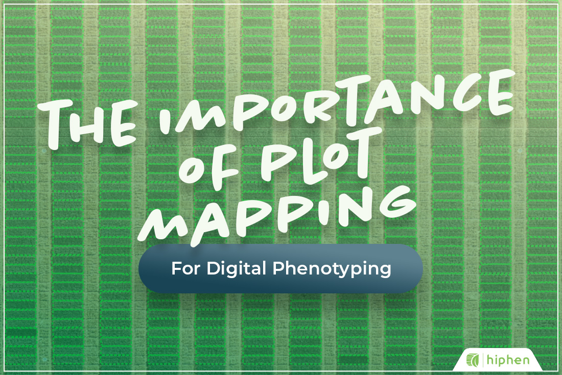 🌱 [#𝐏𝐡𝐞𝐧𝐨𝐭𝐲𝐩𝐢𝐧𝐠𝐈𝐧𝐬𝐢𝐠𝐡𝐭𝐬] 🌱
𝐓𝐇𝐄 𝐈𝐌𝐏𝐎𝐑𝐓𝐀𝐍𝐂𝐄 𝐎𝐅 𝐏𝐋𝐎𝐓 𝐌𝐀𝐏𝐏𝐈𝐍𝐆 𝐅𝐎𝐑 𝐏𝐇𝐄𝐍𝐎𝐓𝐘𝐏𝐈𝐍𝐆

ℹ️ Find out more about plot mapping: wp.me/pd7o65-ooM

#plant #phenotyping #agtech #plantbreeding