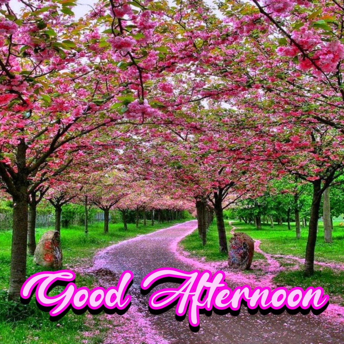 Assalamu alikum
Good afternoon 🌥️