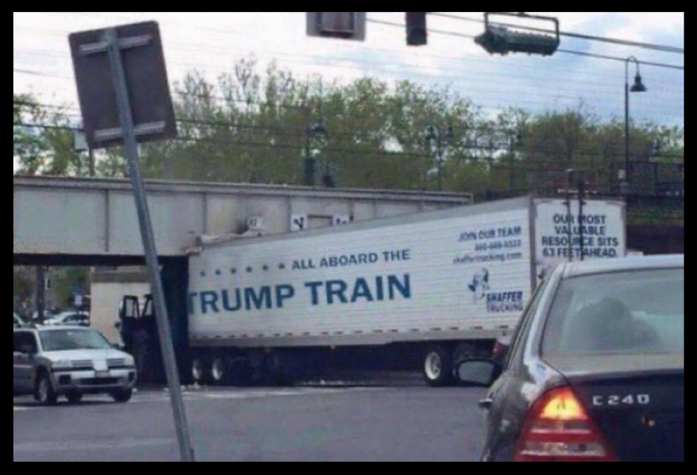 kangaroos991's tweet image. You can&apos;t make this stuff up! ⤵️ 🤣🤣🤣