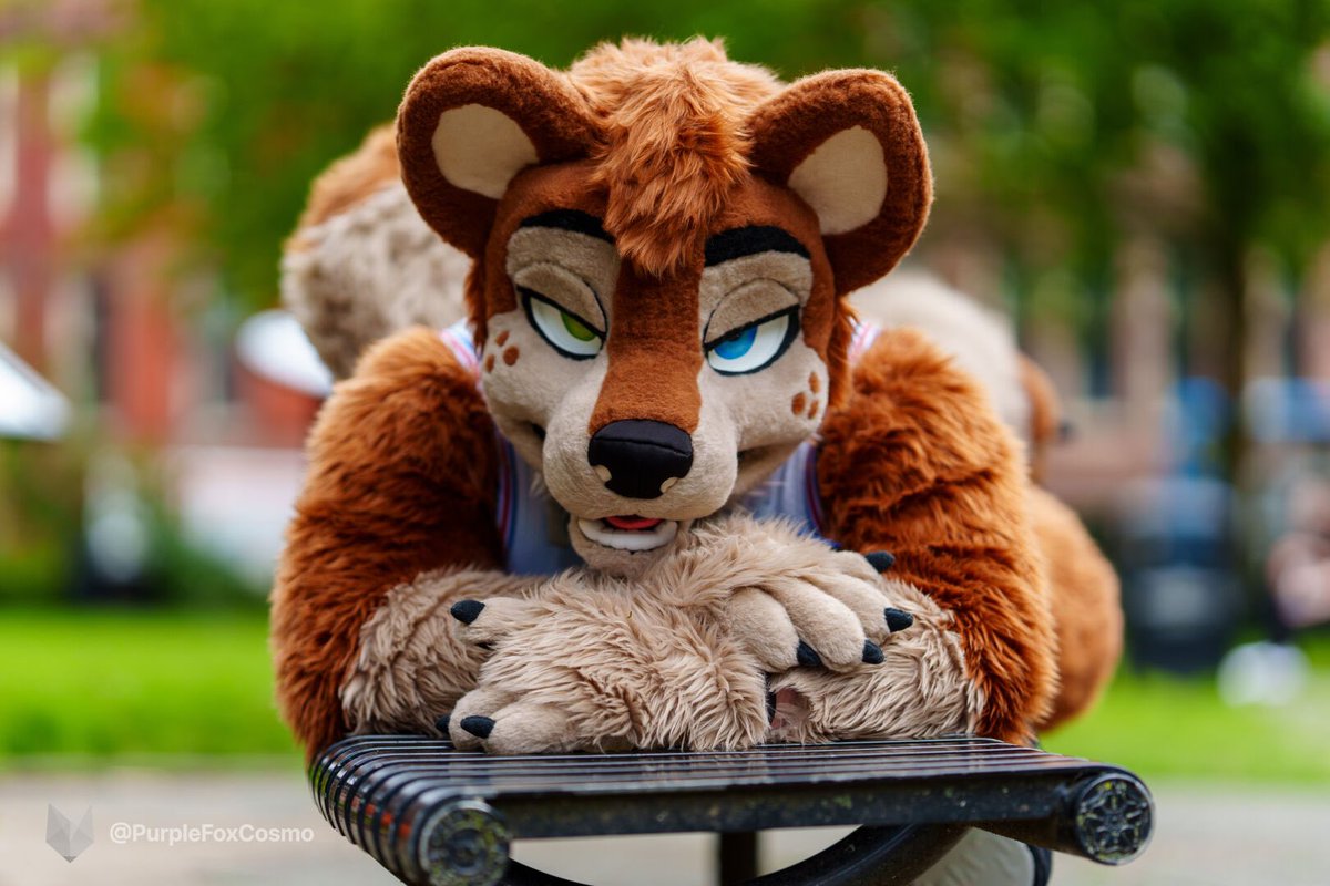 Who wants to cuddle 🤗 taken by the amazing <a href="/PurpleFoxCosmo/">Cosmo</a> at #mancfurs 
#furry #furries #fursuit #cosplay