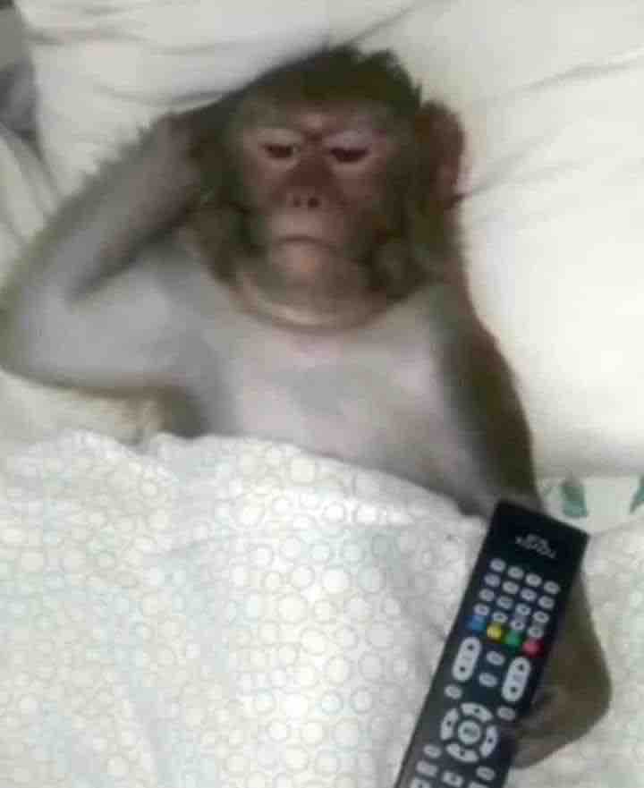 Guarromantico_'s tweet photo. Cuando ya se termino el domingo y mañana hay que ir a la chamba. https://t.co/U2Mu8EZzZa