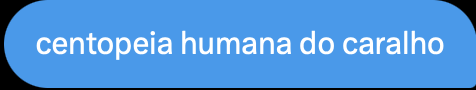 o conceito da noite