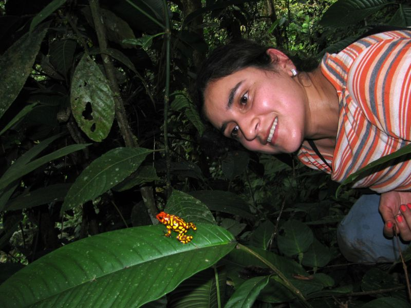 Bibiana Rojas (@biobiiana) on Twitter photo BONUS: <a href="/MileidyBetanco6/">Dr. Mile Betancourth-Cundar</a> will be presenting our joint project on the impact of habitat transformation on the ecophysiology of endangered #poisonfrogs this Friday (9th) at 11:00, GreatHall C. Mile is one of <a href="/amphibiansorg/">Amphibian Survival Alliance</a>'s newest 'Future Leaders of Amphibian Conservation' #wch10 BONUS: <a href="/MileidyBetanco6/">Dr. Mile Betancourth-Cundar</a> will be presenting our joint project on the impact of habitat transformation on the ecophysiology of endangered #poisonfrogs this Friday (9th) at 11:00, GreatHall C. Mile is one of <a href="/amphibiansorg/">Amphibian Survival Alliance</a>'s newest 'Future Leaders of Amphibian Conservation' #wch10
