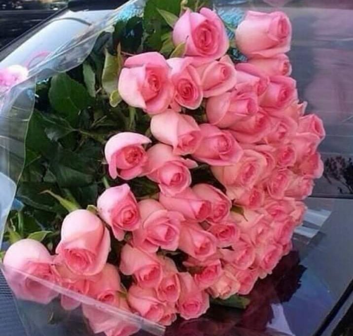 aras017993's tweet image. Dünyada hep yarımdır bir şeyler
Hayalleri kursağında kalan
Hayatlarımız gibi....

Haftanın ilk gününden Günaydınnnn
💜 💜 💜