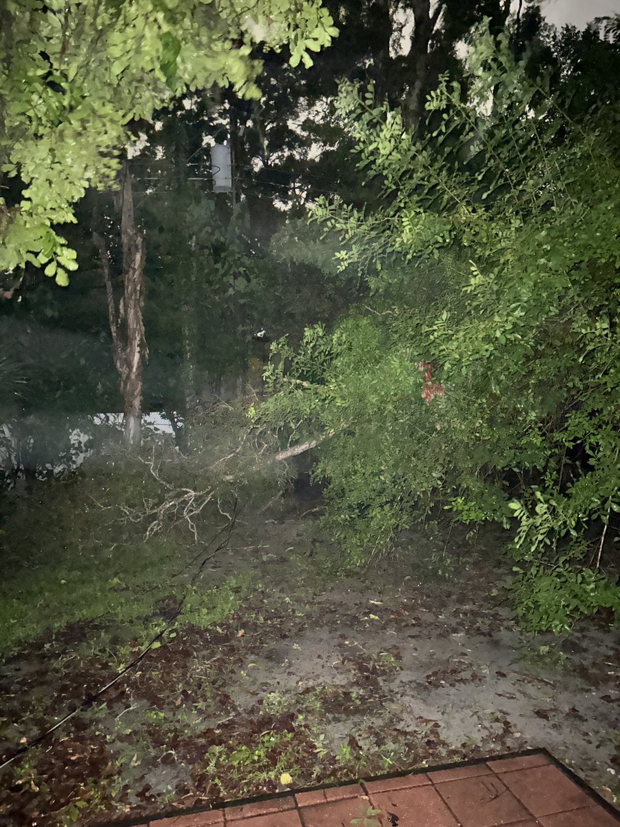 Gotta love damage. Thank god it didn’t hit the house. Power will be out tho for a few days. #TropicalStormDebby