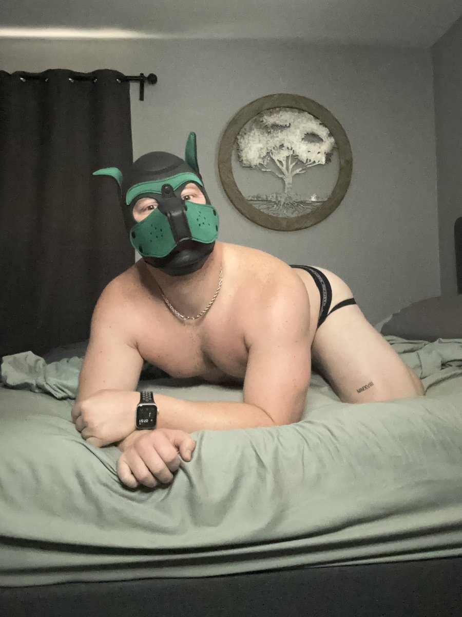 _PupSwitch's tweet image. Heyooo! I’m a good boy 😇😈🐶