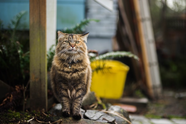 4 Ways Being Uncomfortable Can Make Your Writing Dreams Come True.
#amwriting 
bit.ly/3A30OJR