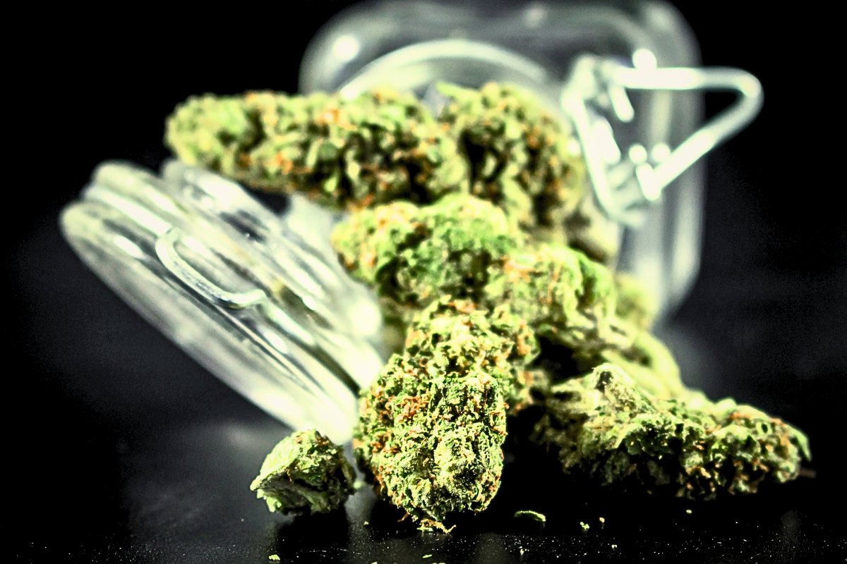 hempsimp's tweet photo. Infused #Weed 

 #hemp #cbd #cannabis #cannabiscommunity #cbdoil #thc #weed #marijuana #cannabisculture #cbdproducts #hempoil #cbdhealth #cbdlife #hemplife #sativa #organic #hightimes #indica #cbdcommunity #health #cbdmovement #weedporn https://t.co/gTaMLRy1UJ