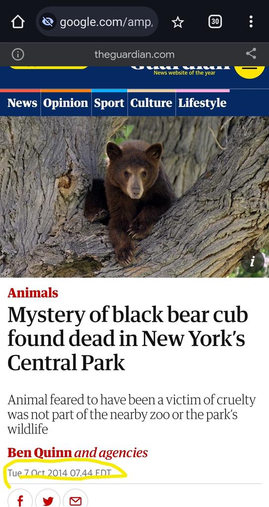 ghostoffredt's tweet photo. @BenQuinn75 Hey Ben, looks like RyfK Jr just fessed up to your Guardian story of mystery dead bear in Central Park. https://t.co/mN5EFl8See