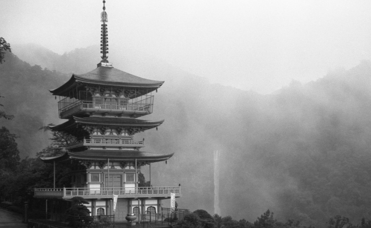 grm811's tweet photo. 霧の熊野
#leica #m3 #summarit50f15 #marix #bw200 #photography #filmphotography https://t.co/K4svLI1P1Y