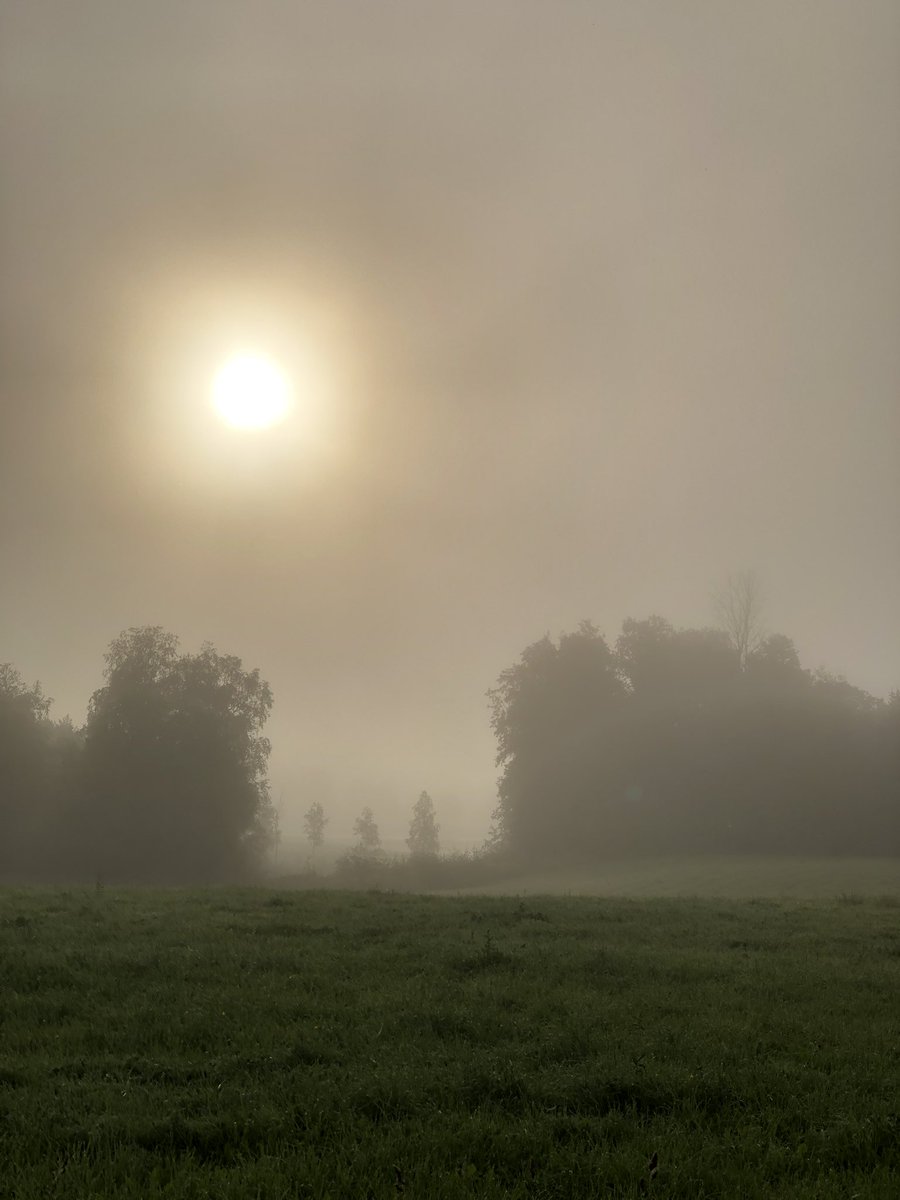 GET OUT THERE NOW💛