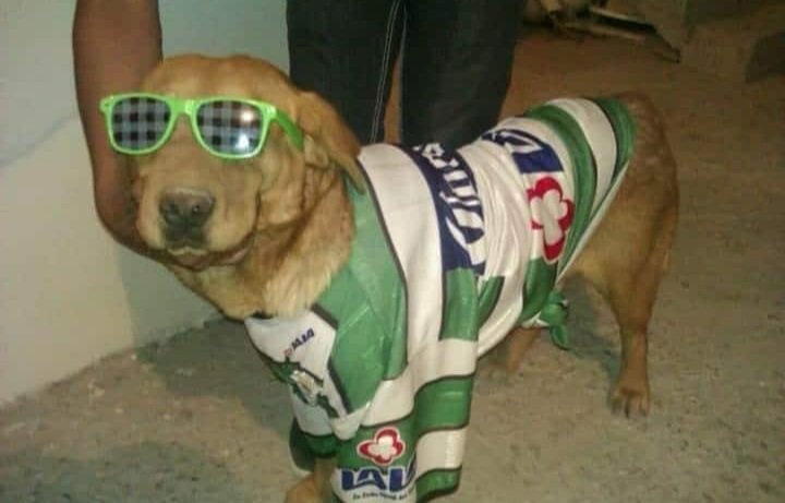 Chivas metió 3 goles en fase de grupos y no pasó, Santos no metió ninguno y sí pasó 🤙🏻