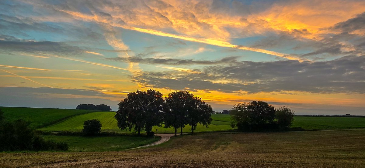 marcelbar8's tweet photo. Goedemorgen, vanochtend vroeg ben ik weer naar @magnifiekZL afgereisd, waar ik het prachtig licht zag worden tussen #Elkenrade en #Eys.
Vandaag heeft mijn panoramische wandeling als start- en eindpunt #Colmont. Ik loop door 't gebied ten zuiden van dat buurtschap. #zonsopkomst https://t.co/QrHbL2aN9a
