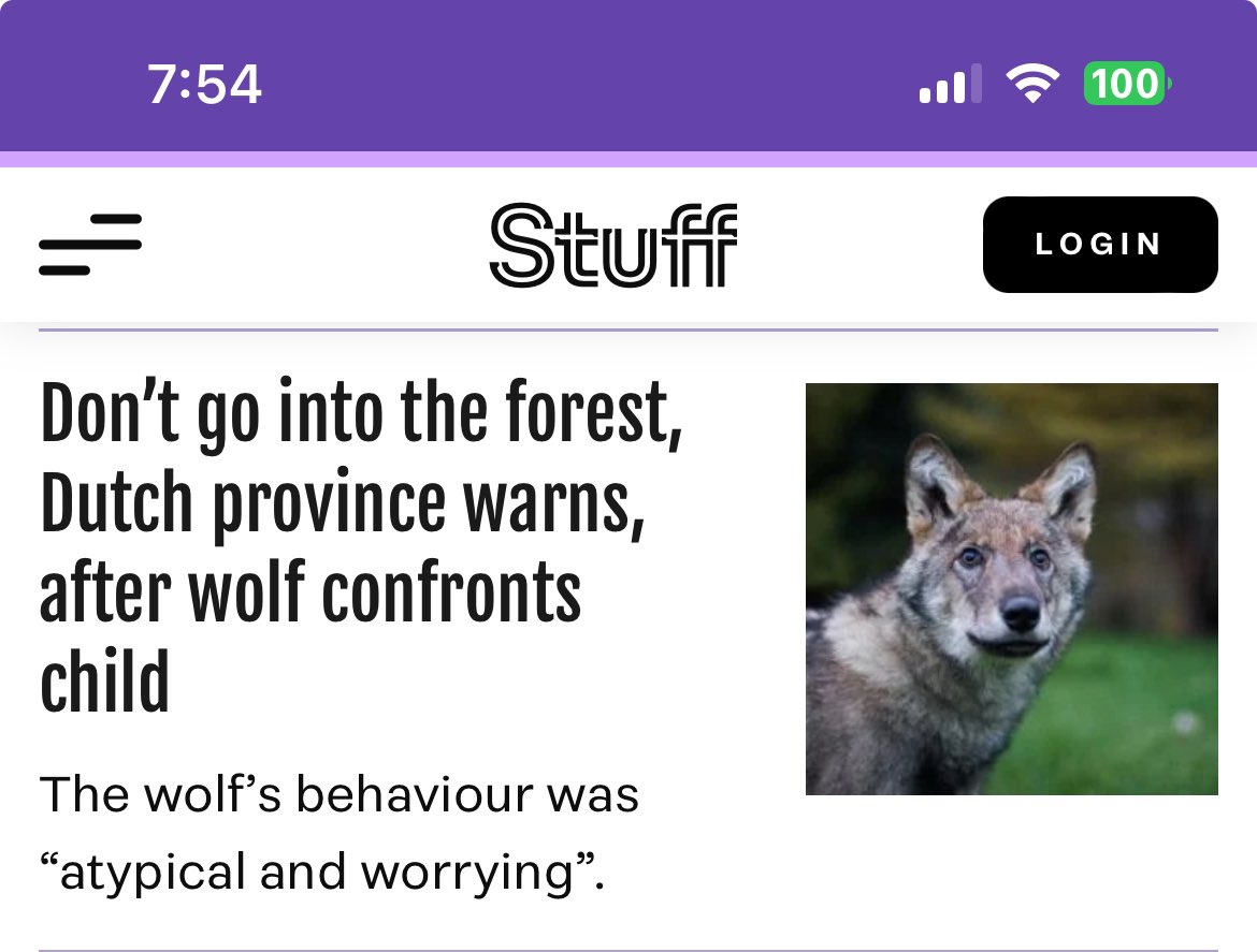 Bad Copy NZ tweet media