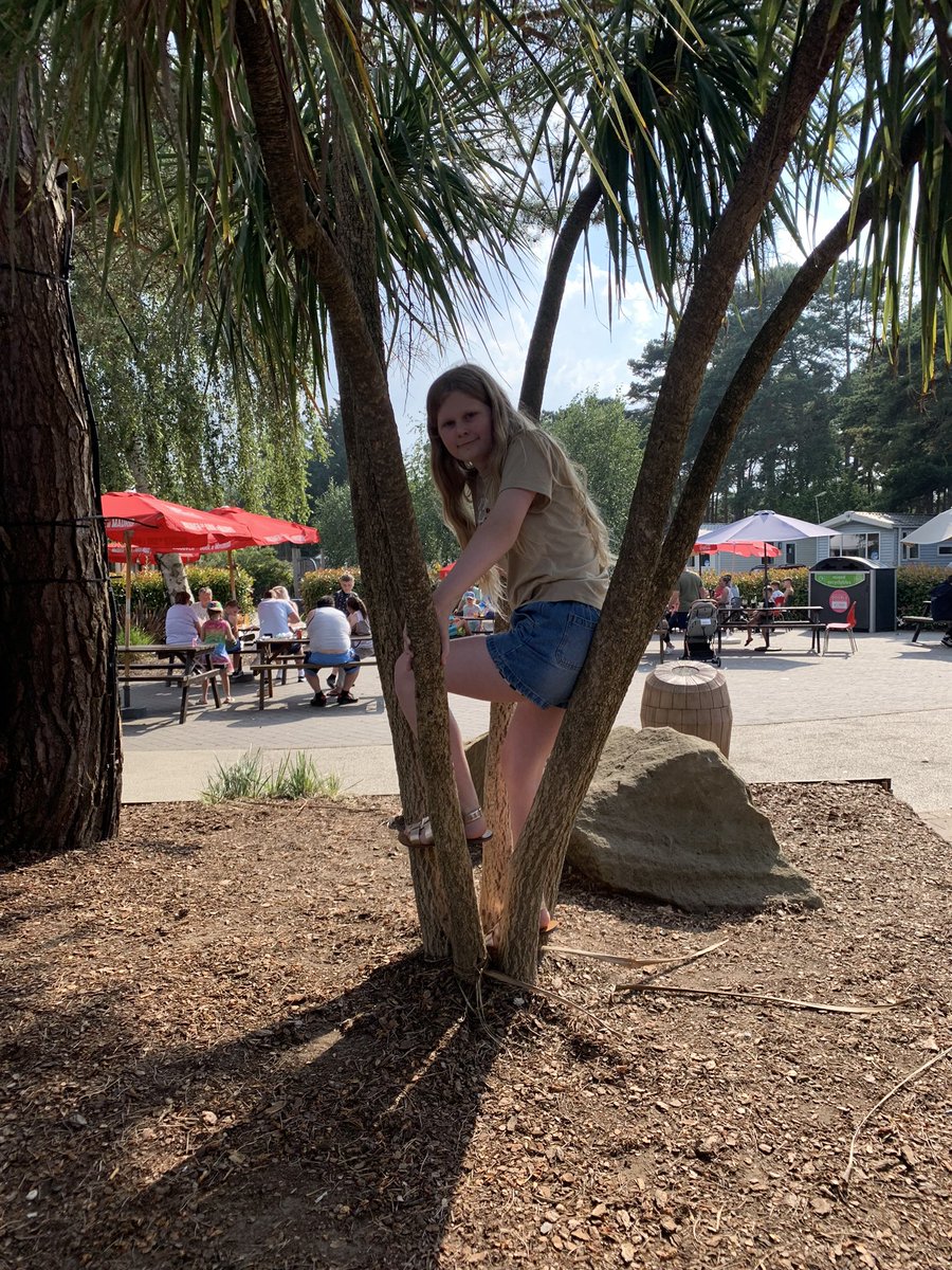 Caroline 🦋 tweet media