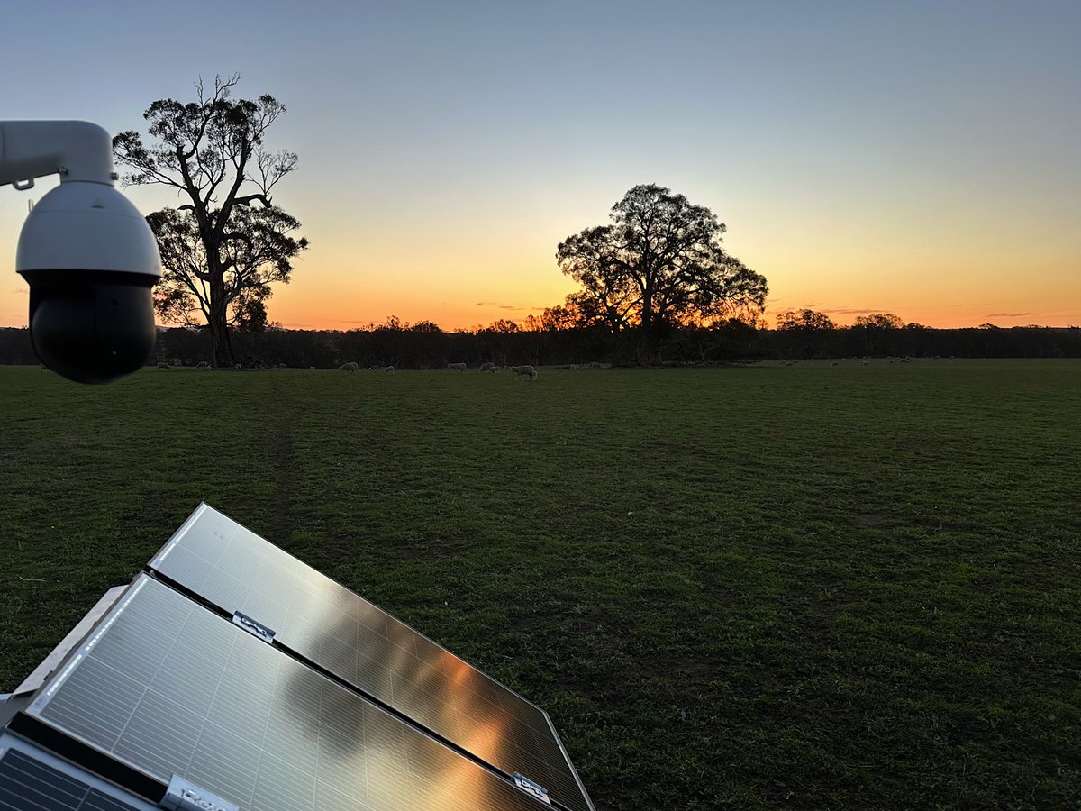 Eyes on the Ewe.
<a href="/neXtgenAgri/">neXtgen Agri Ltd</a>