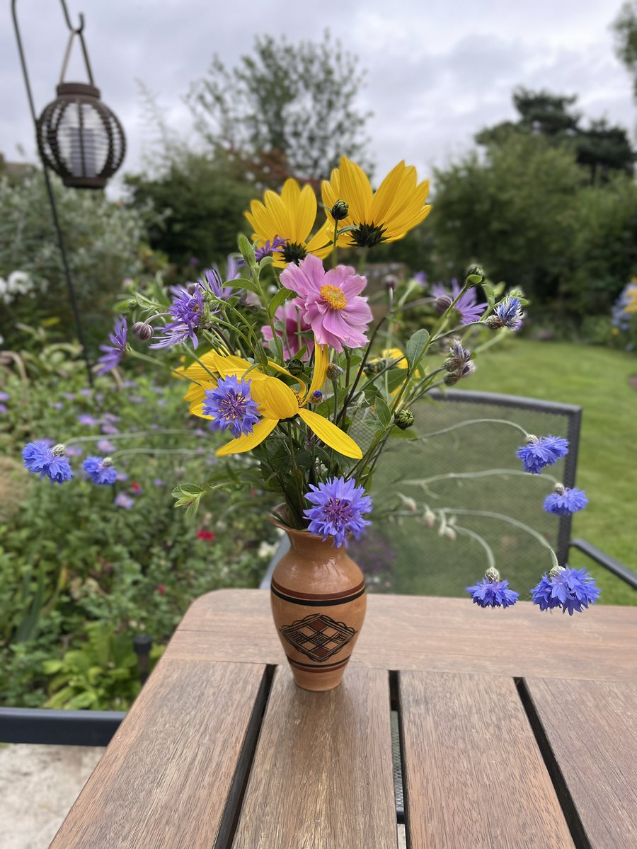 August fireworks for desk companions.