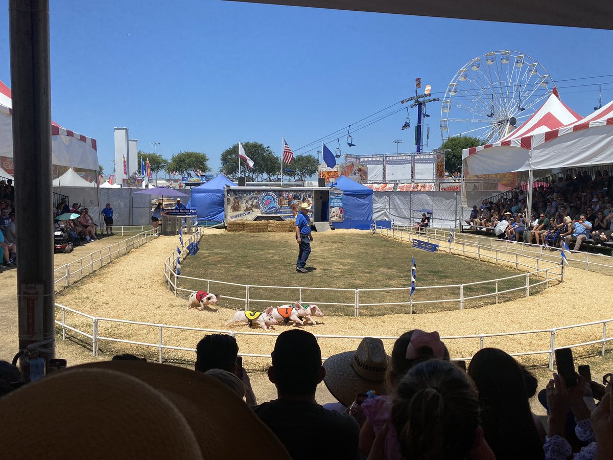 <a href="/snehap_ahuja/">Sneha Pillai Ahuja</a> <a href="/ocfair/">OC Fair</a> the best part of the fair!