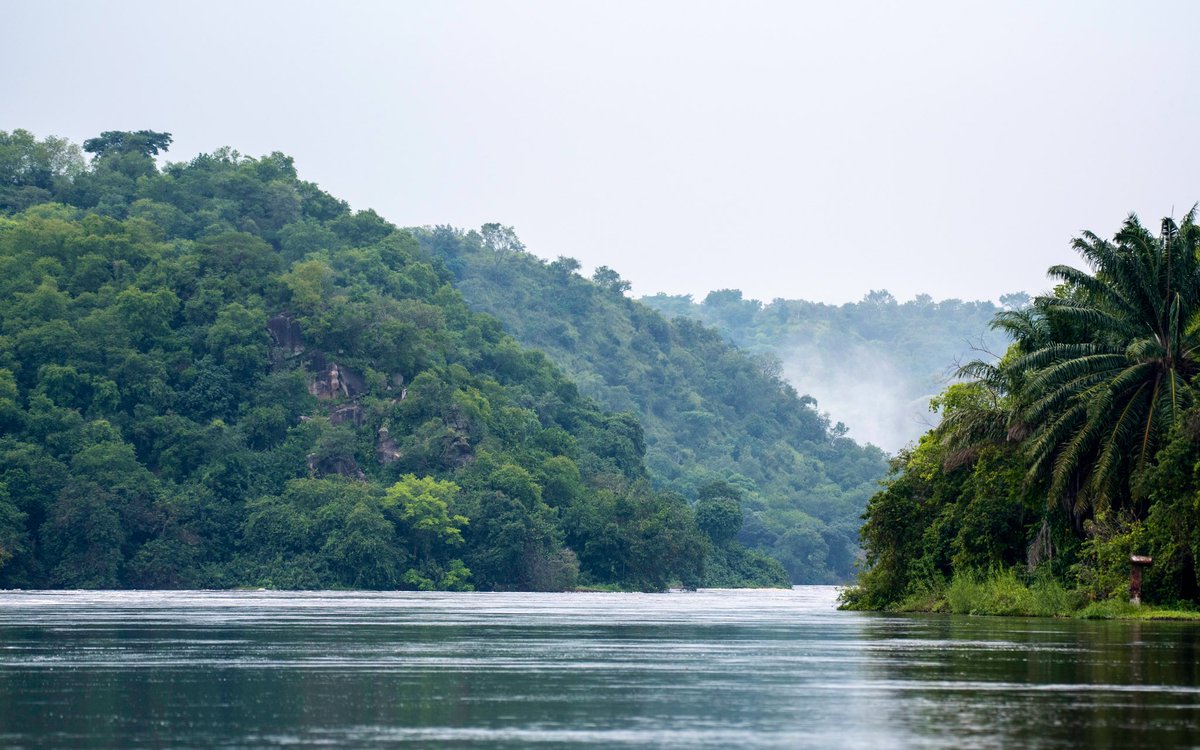 TourismBoardUg's tweet photo. There’s a reason Uganda is called the Pearl of Africa, warm hearted people, beautiful landscape, abundant wildlife, rich biodiversity, you name it…

Fall in love with Uganda, and create unforgettable memories.

#ExploreUganda #MondayMotivation https://t.co/t9h8Tr8Ft5