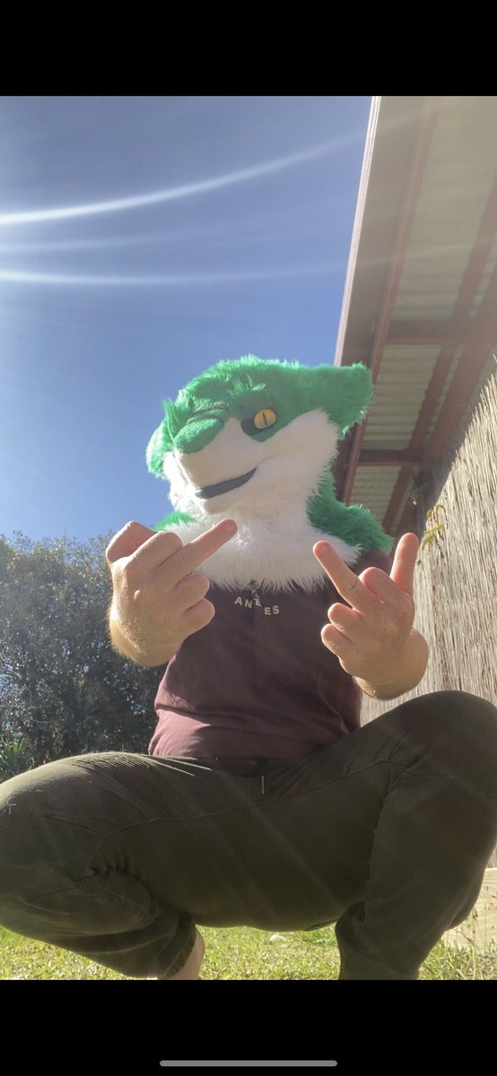 To the haters and bullies you guys and gals have out there just don’t give a fuck and give ‘em a middle finger! Or 2 haha 
#fursuit #furryfandom #sergal #furry