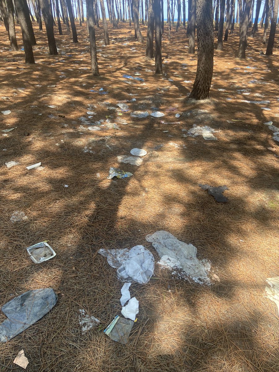 semenyooo's tweet photo. Kemerburgaz çiftalan köyünde piknik yapmak için gittik ancak ormanın durumu içler acısı çöplerden bir yerde oturamadık https://t.co/e1bp2eN4Cu