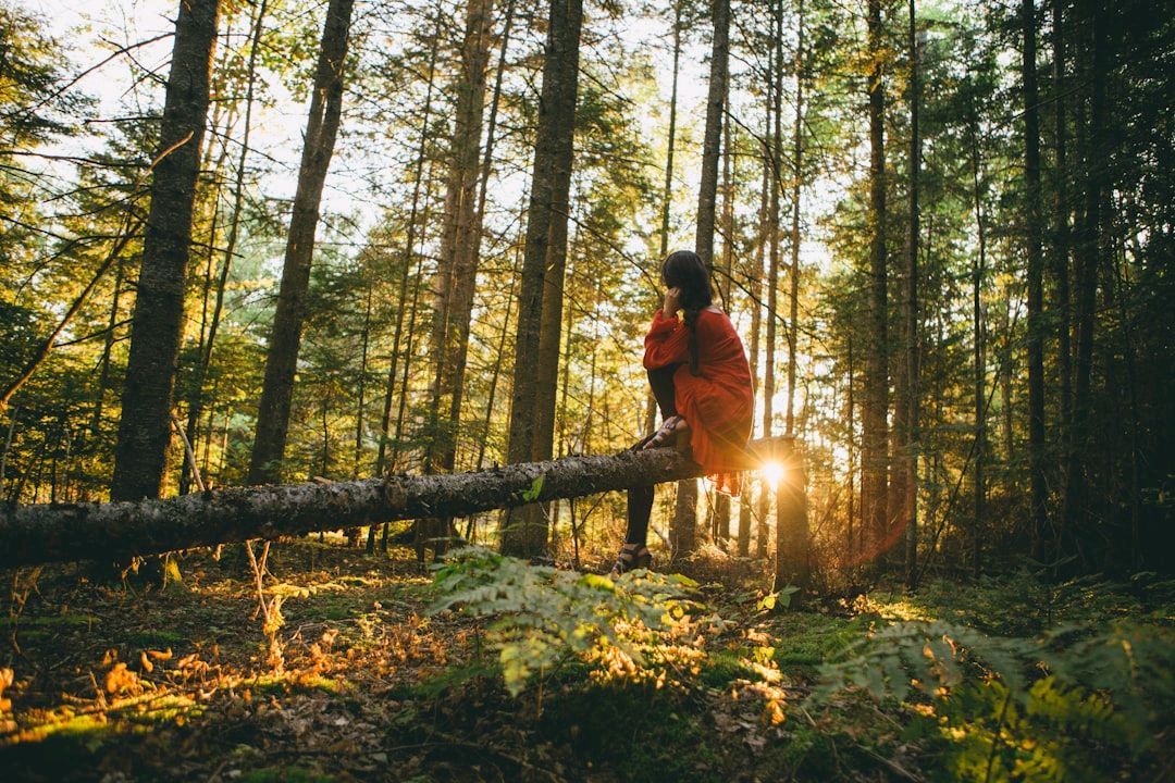 In Japan, doctors prescribe Forest Bathing for depression which is exactly what it sounds like. 

We might not get prescriptions for it, but what's stopping you from heading into the trees today?