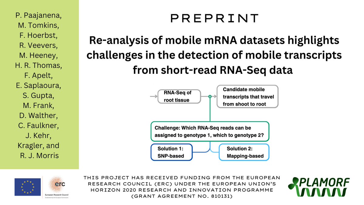 ↕️Does it move?↕️

Re-analysis of #plant mobile #mRNA datasets:

#computational #plantsci #preprint #RNASeq #modelling #phloem #DataScience
<a href="/JohnInnesCentre/">John Innes Centre</a> <a href="/CORDIS_EU/">EU Research Results</a> biorxiv.org/content/10.110…