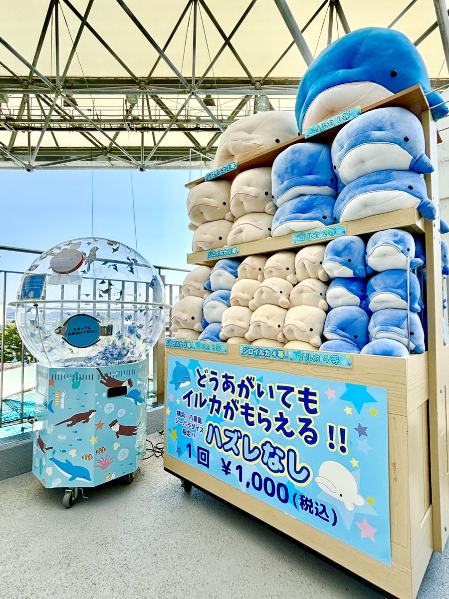 アクアミュージアム 4階のライブスタジアムにて、8月31日まで期間限定