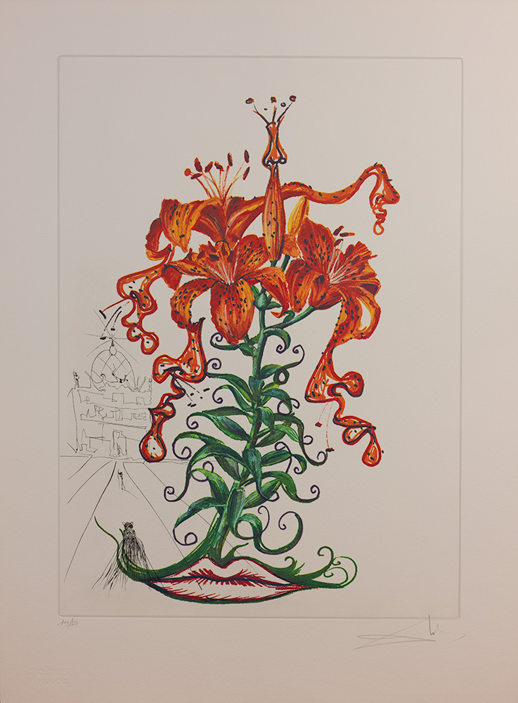 Salvador Dalí’s Florals dlvr.it/TBVj8z