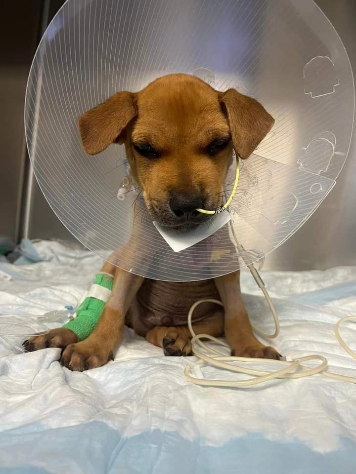 Please pray for me, I'm very very sick, please 🙏🏻💞