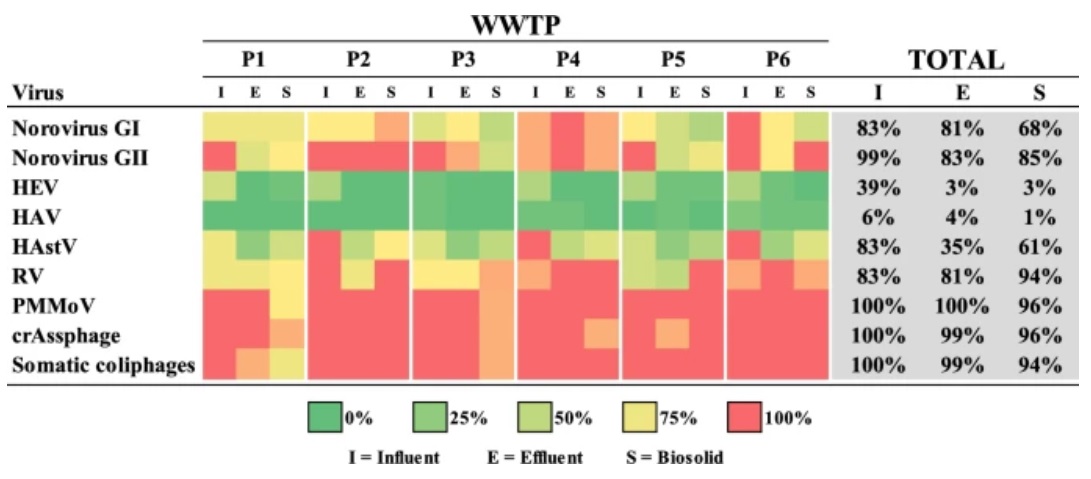 Check our latest work on the multifactorial #publichealth risks associated with #sewage reclamation. 
#emergingrisks #wastewater #viruses #microplastics #environment #sustainability #PROMETEO #LAGOON
@GVAinnova <a href="/VISAFELab/">VISAFELab</a> <a href="/iata_csic/">IATA CSIC</a> 
🔗nature.com/articles/s4154…