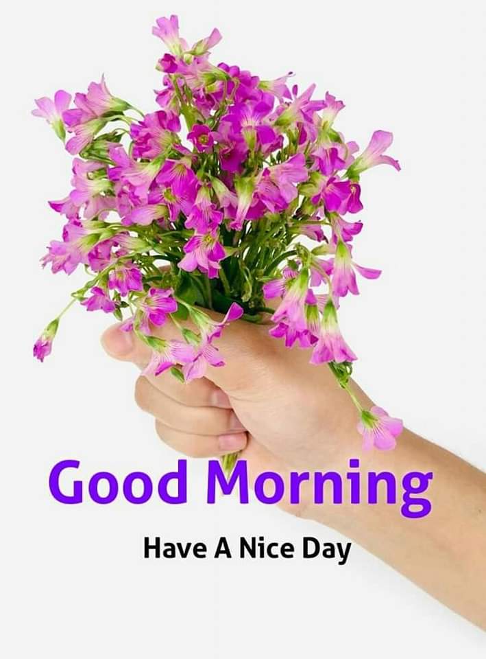 🌹اسلام علیکم🌹🌹
 🥰دوستوں کیا حال ہے🥰
🌹آج بارش کہاں کہاں ہو رہی ہے🥰