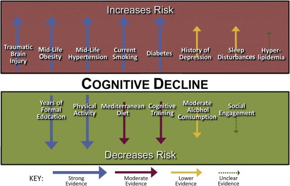 ¿Cómo prevenir la demencia y el declive cognitivo mediante el estilo de vida? 🧠

Dieta 🥗, ejercicio 🏃‍♂️ y mindfulness 🧘‍♂️ pueden ayudar a mantener la salud cognitiva durante el envejecimiento

sciencedirect.com/science/articl…