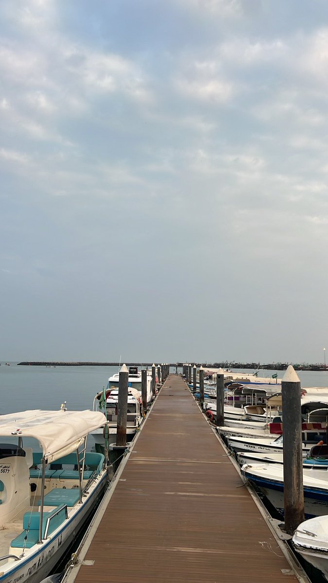 _kx5y tweet picture