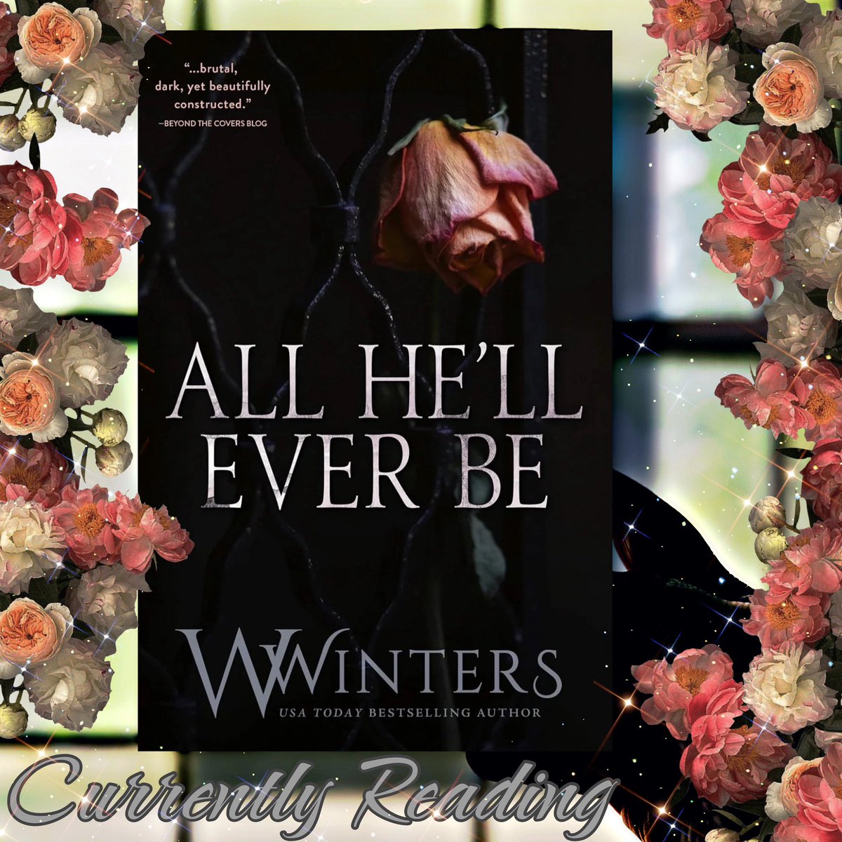 BooksImperfectCondition tweet media