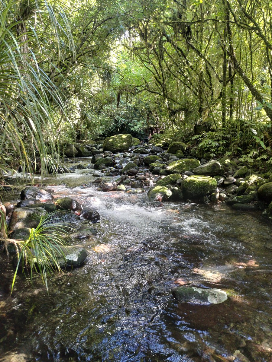 Francis J. Burdon tweet media