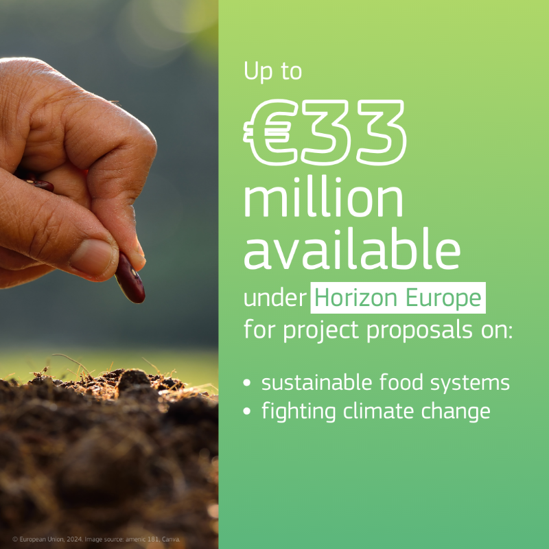 EUgreenresearch's tweet photo. Less than two months left to apply for EU funding for research on sustainable #food systems and fighting #ClimateChange 📢

Check out the open calls for proposals that support the #EUGreenDeal 🌍

Submit your proposal by 24 September.